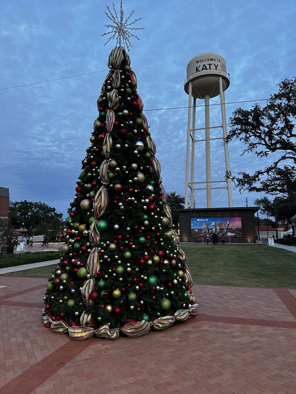 Christmas tree day 120624.jpg