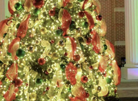 Katy Christmas Tree