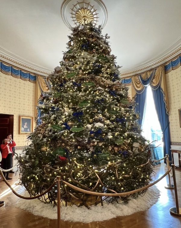 A Christmas Tree at the White House.
