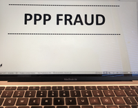 PPP Fraud